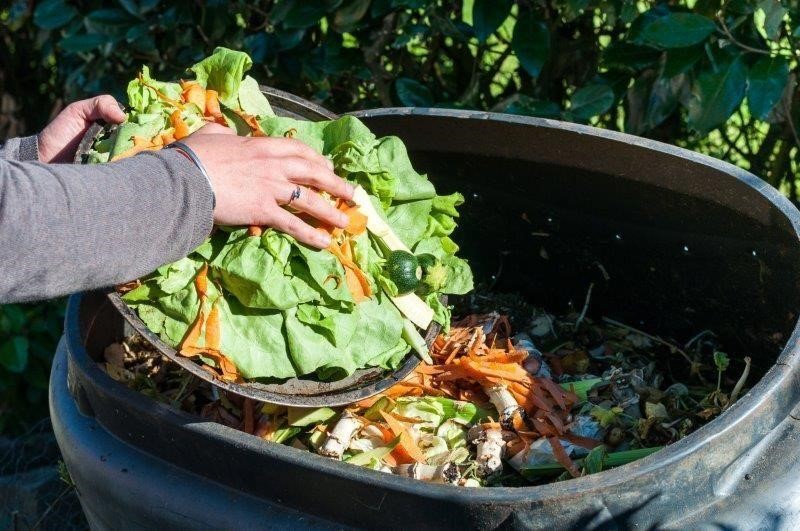 Biodéchets SGD